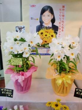 洋ラン|「花便りサンクス三上」　（埼玉県志木市の花屋）のブログ