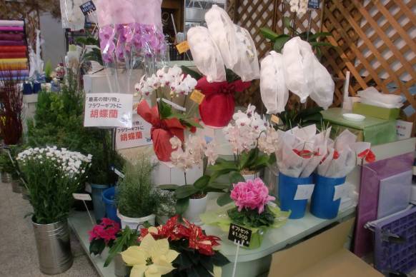 「花便りサンクス三上」　（埼玉県志木市）の花屋店舗写真3